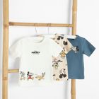 Cool Club, T-shirt chłopięcy, mix, Klub przyjaciół Myszki Mickey, zestaw, 3 szt.