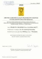 Cool Club, Trampki chłopięce, szare, Zdrowa Stopa, podeszwa Barefoot, Spider-Man