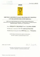 Cool Club, Trampki dziecięce, brązowe, Zdrowa Stopa, podeszwa Barefoot