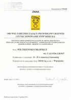 Cool Club, Trampki dziecięce, brązowe, Zdrowa Stopa, podeszwa Barefoot, Kubuś Puchatek