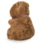Daffi, Kapibara z brązowym szalikiem, maskotka, 27 cm
