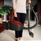 Electrolux, Pure, odkurzacz, D8 Pd82-anima