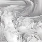 Eurofirany, zasłona gotowa, Roses 3, na taśmie, 140-270 cm, biały