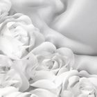 Eurofirany, zasłona gotowa, Roses, na taśmie, 150-90 cm, biały