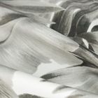 Eurofirany, zasłona zaciemniająca gotowa, Zora, 140-250 cm, biały