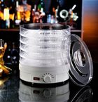 Extralink, Home, suszarka spożywcza do grzybów