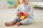 Fisher-Price, Aktywne klocki ze zwierzątkami, zabawka edukacyjna