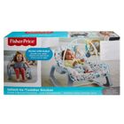 Fisher-Price, Terazzo, fotelik niemowlęcy, 0-18 kg