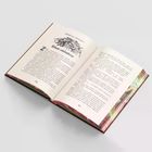 Harry Potter i Komnata Tajemnic (ilustrowane brzegi) wer. limitowana