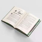 Harry Potter i więzień Azkabanu. Tom 3 (ilustrowane brzegi)