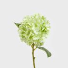 Homla, Fortens, gałązka sztuczna, hortensja, zielona, 49 cm, 739019