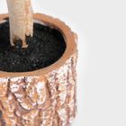 Homla, Hector, choinka, na pieńku, 80 cm