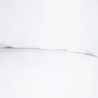 Homla, Maisy, zestaw dwóch poszewek, z mikrofibry białych, 70-80 cm, 2 szt.