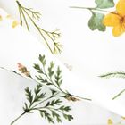 Homla, Prima, zestaw ścierek kuchennych, z motywem łąki, 50-70 cm, 2 szt.