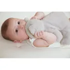 Kaloo, Petit Songe, Koala, przytulanka obciążeniowa, 28 cm