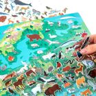 Kidea, Gdzie one żyją? Zwierzęta Europy, wyklejanka + gra