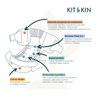 Kit and Kin, pieluszki jednorazowe, rozmiar 6, 15 kg+, pies i pingwin, 24 szt.