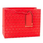 Lean Toys, torba prezentowa geometryczna złote linie, 23-18-10 cm, 1 szt.