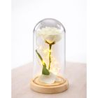 Lean Toys, wieczna róża w kopule, z oświetleniem LED