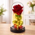 Lean Toys, wieczna róża w kopule, z oświetleniem LED, czerwona, 21-11 cm