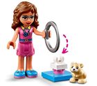 LEGO Friends, Plac zabaw dla chomików Olivii, 41383