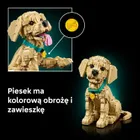 LEGO Icons, Szczeniak golden retriever, 11384