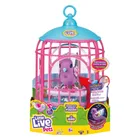 Little Live Pets, ćwierkająco-mówiący ptaszek interaktywny z klatką