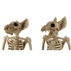 Malatec, szkielet nietoperza, dekoracja, 30 cm