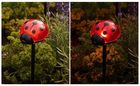 Maximex, lampki ogrodowe solarne, biedronki LED, 14 cm, 4 szt.