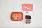Mepal, Campus, lunchbox, Little Goose