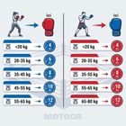 Meteor, rękawice bokserskie, 10 oz