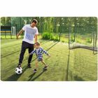 Neo-Sport, Bramka do piłki nożnej 183 x 122 x 61cm NS-492 czarna