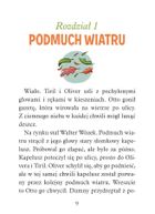 Operacja Podmuch Wiatru. Biuro detektywistyczne nr 2