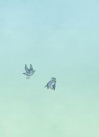 Operacja Rupieciarz. Biuro detektywistyczne nr 2