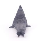 Papo, słoń morski, figurka