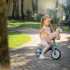 Petite&Mars, konik Little Joe, maskotka