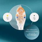 Philips, Sonicare, Premium ALL in ONE A3, końcówki do szczoteczki, białe, 2 szt., HX9092/87