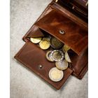 Portfel, brązowy, skórzany, Peterson