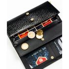 Portfel, czarny, skóra naturalna i ekologiczna, Peterson