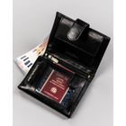 Portfel, czarny, skórzany, RFID, Peterson