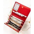 Portfel, czerwony, skórzany, Rovicky