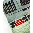 Portfel, jasnozielony, Peterson