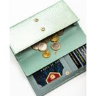 Portfel, jasnozielony, Peterson