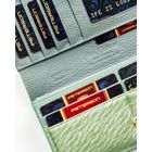 Portfel, jasnozielony, skórzany, Peterson