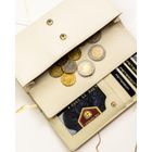 Portfel, mix, skóra naturalna i ekologiczna, Peterson