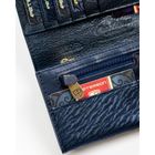 Portfel, niebieski, Peterson