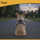 Purlov, szelki bezuciskowe dla zwierząt, rozmiar XS