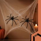 Ruhhy, sztuczna pajęczyna + 2 pająki, zestaw