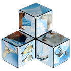 Shashibo, kostka magnetyczna, łamigłówka, Arctic