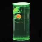 Smiki, Meduzy, lampka tuba